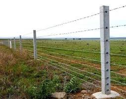 Solid Plain Rectangular RCC Fencing Pole